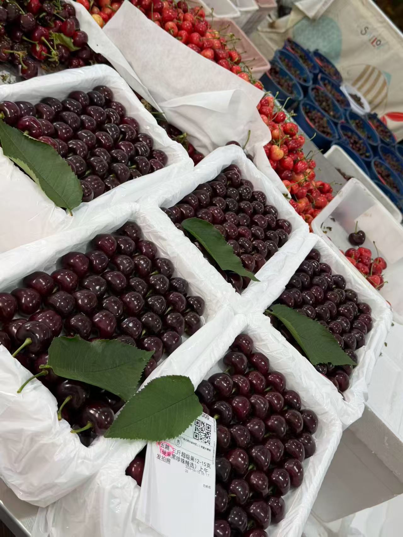大连樱桃